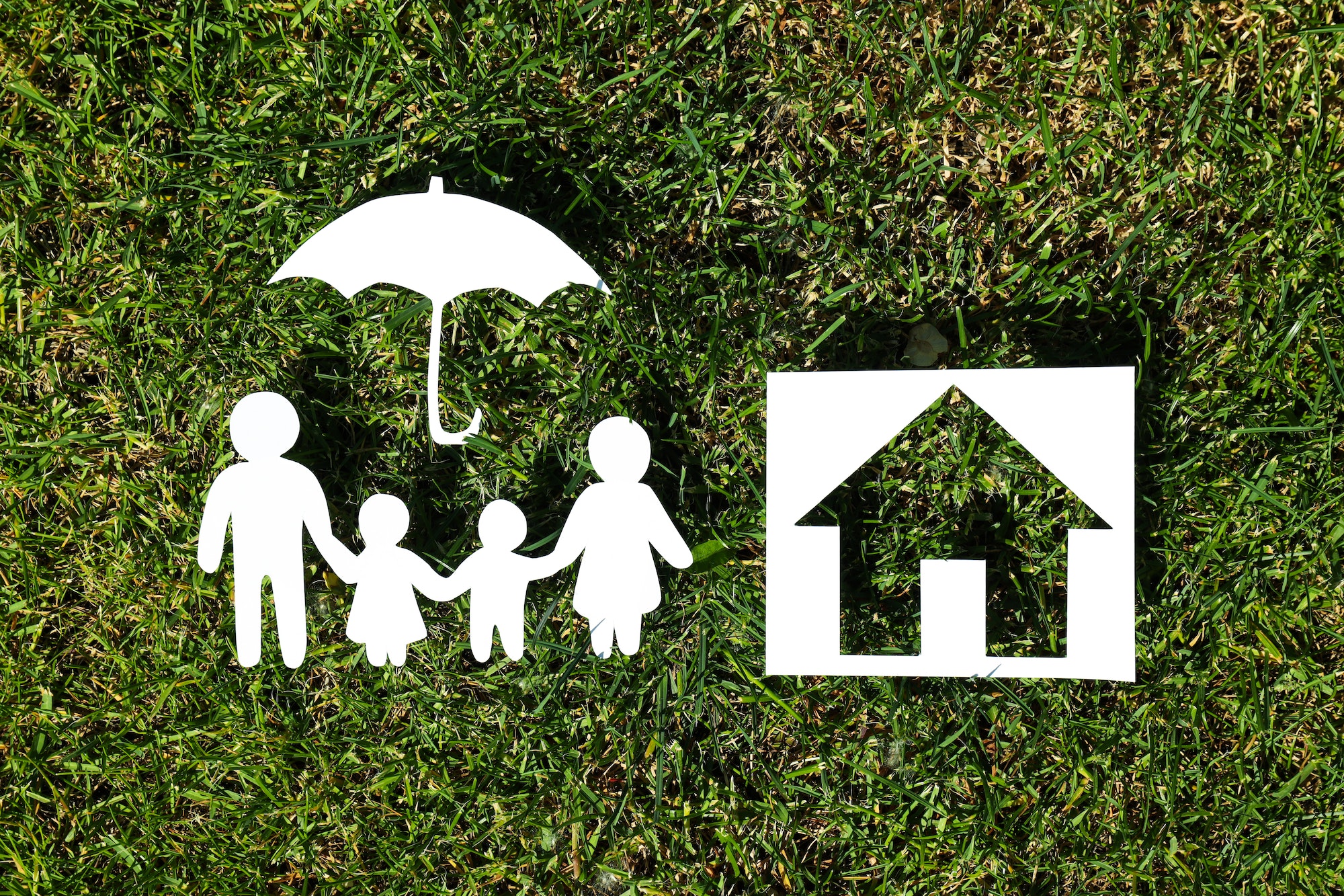 Concept of family, protection of family, family rights, family health